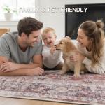 YOH Boho Washable Rug 5x7, Rust Red Vintage Non Slip Area Rug, Distressed Indoor Carpet for Living Room Bedroom Kitchen Office