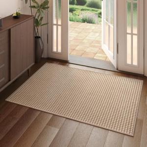 Non-Slip Washable Indoor Door Mat - Brown 2x3 ft