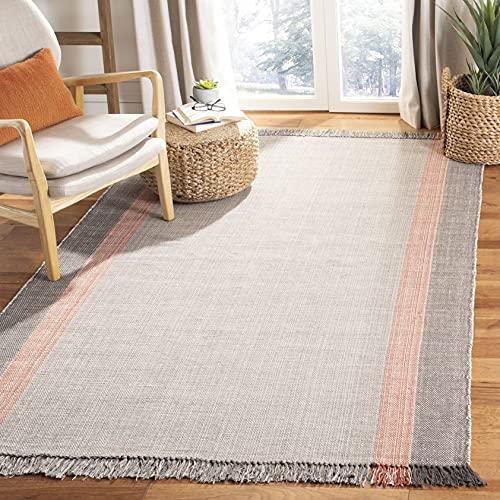 SAFAVIEH Area Rug 8x10 - Montauk Collection - Large - Terracotta & Grey, Handmade Flat Weave Cotton, Boho Farmhouse Stripe Pattern, Ideal for Living Room, Bedroom, Office, Dining Space (MTK301P)
