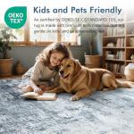 Large 6x9 Ft Soft Washable Area Rug - Blue