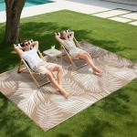 Pauwer Waterproof 5x8 Outdoor Reversible Rug