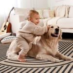 Tangsoo Easy Jute 3x5 Outdoor Rug for Living Room,Non-Slip Thin Black Rainbow Indoor Area Rug,Washable Boho Farmhouse Carpet for Front Porch Bedroom Patio Entryway Balcony