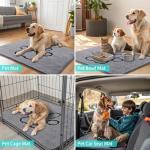 Absorbent Dog Door Mat for Muddy Paws
