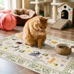 Washable 2x3 Non-Slip Area Rug for Entryway