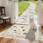 Washable 2x3 Non-Slip Area Rug for Entryway