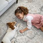 Genimo 5FT Round Machine Washable Area Rug