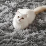 PAGISOFE 4Ft Grey Round Fluffy Kids Rug