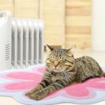 Cute Flower Round Area Rug for Girls' Rooms