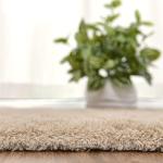 Softlife Fluffy Rugs for Bedroom, Shag Cute Area Rug for Girls and Kids Baby Room Home Decor Fall Decor, 2.6 x 5.3 Feet Oval Indoor Carpet for Nursery Dorm Living Room, Camel