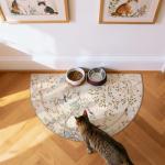 Jinchan Yarden 2x3 Beige Non-Slip Area Rug