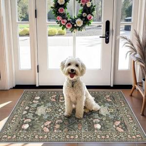 Vintage Floral Washable 2x3 Entryway Area Rug