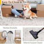 Gray Vintage Distressed 2x3 Entryway Area Rug