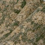 HUGEAR 2x5 Retro Green Floral Runner Rug