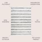 Berber Stripe Indoor/Outdoor Area Rug 3x5