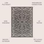 Vintage Filigree Indoor Outdoor Area Rug 3X5