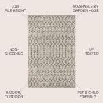 Moroccan Geometric Indoor Outdoor Area Rug 3X5