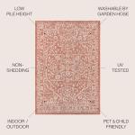 Jonathan Y Boho Medallion 3x5 Rug - Red/Taupe