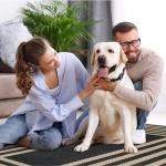 Lahome Modern Geometric Jute Outdoor Rug, 3x5