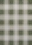Bold Gingham Indoor Outdoor Rug 3X5 Green/Cream