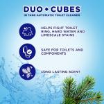 Eco-Friendly In-Tank Toilet Cleaner Duo-Cubes