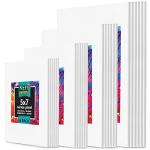 24 Piece Canvas Painting Set for Artists