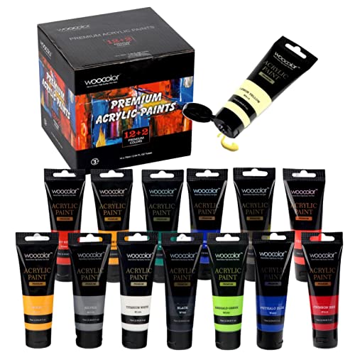 WOOCOLOR 12-Color Metallic Acrylic Paint Set