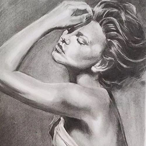 Dyvicl Compressed Charcoal Sticks - Pack of 18