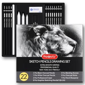 PANDAFLY 22-Piece Drawing Pencil Set