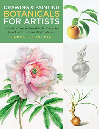 Botanical Drawing and Painting for Artists