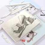 12 Pcs Blending Stump and Tortillions Set