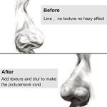 12 Pcs Blending Stump and Tortillions Set