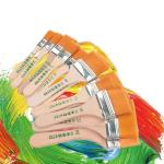 12-Piece Nylon Paint Brush Set for Artists