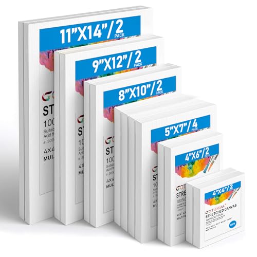 14-Pack Stretched Blank Canvas Set for Artists
