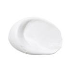 Liquitex BASICS Acrylic Paint - Titanium White 250ml