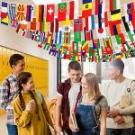 International Mini Flags Banner Set for Sports Events
