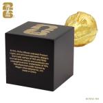 FIFA World Cup 2026 3D Trophy Replica