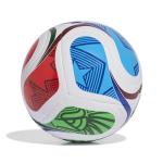 Adidas World Cup Soccer Ball - Size 5