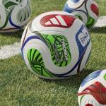 Adidas World Cup Soccer Ball - Size 5