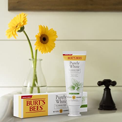 Burt's Bees Fluoride-Free Natural Toothpaste - 3 Pack