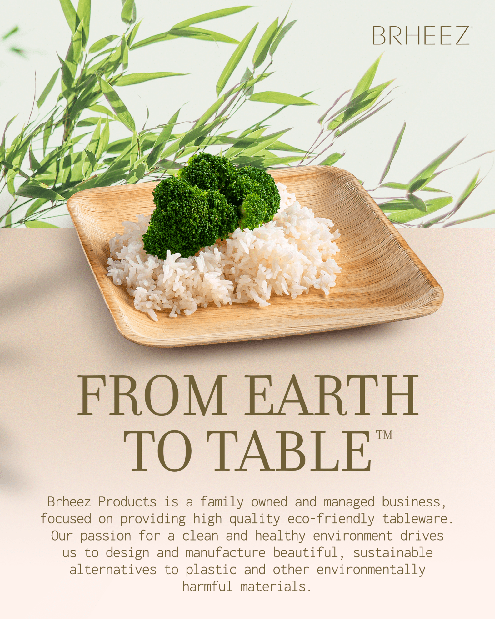 Bamboo-Look Disposable Plates - Biodegradable 100-Pack