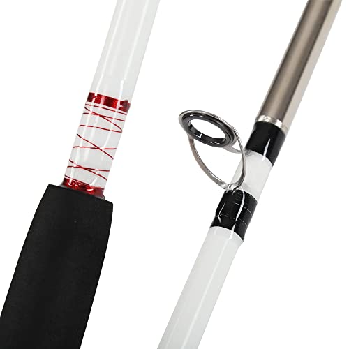 Berkley 8ft Surf Rod, 12-30lb Line, Medium Heavy