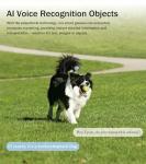 AI Smart Glasses with HD Camera and Audio