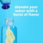 Pet Health Electronic Monitoring Device