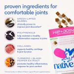 Natural Pain Relief Chews for Dogs' Joints