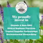 Organic Chia Seeds - 454g Package