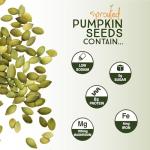 Organic Sprouted Pumpkin Seeds with Sea Salt 22oz