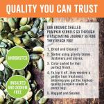 Organic Pumpkin Seeds - 32 oz Superfood Snack