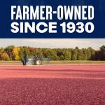 Reduced Sugar Dried Cranberries, 5 Ounce