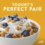 Nature Valley Oats 'N Honey Protein Granola