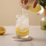 Absorbent Stone Coasters Set of 6 with Holder